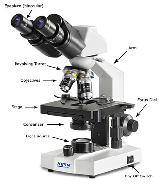 Components Of Compound Microscope